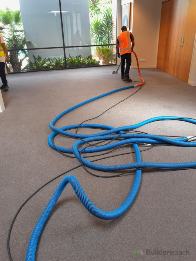 Carpet Cleaning