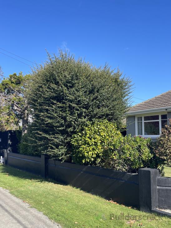 Job image