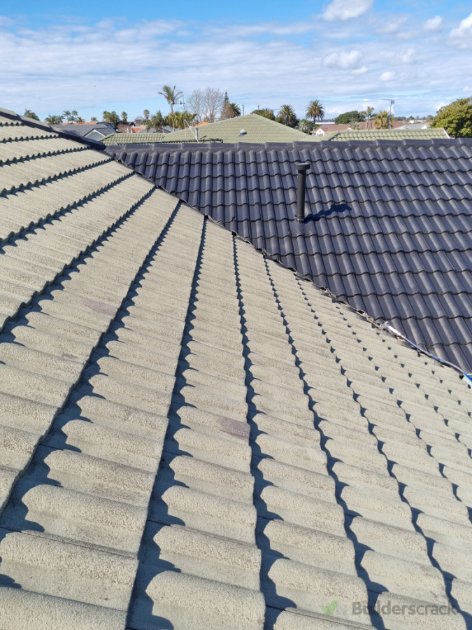 Roof painting