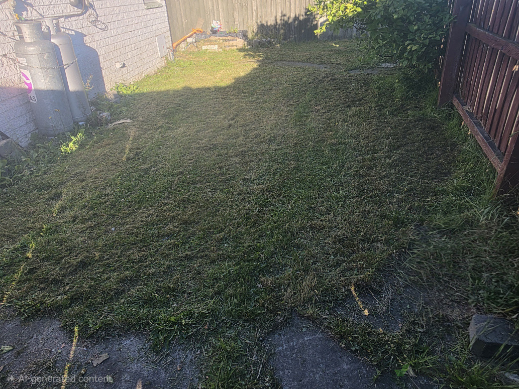 After  photos