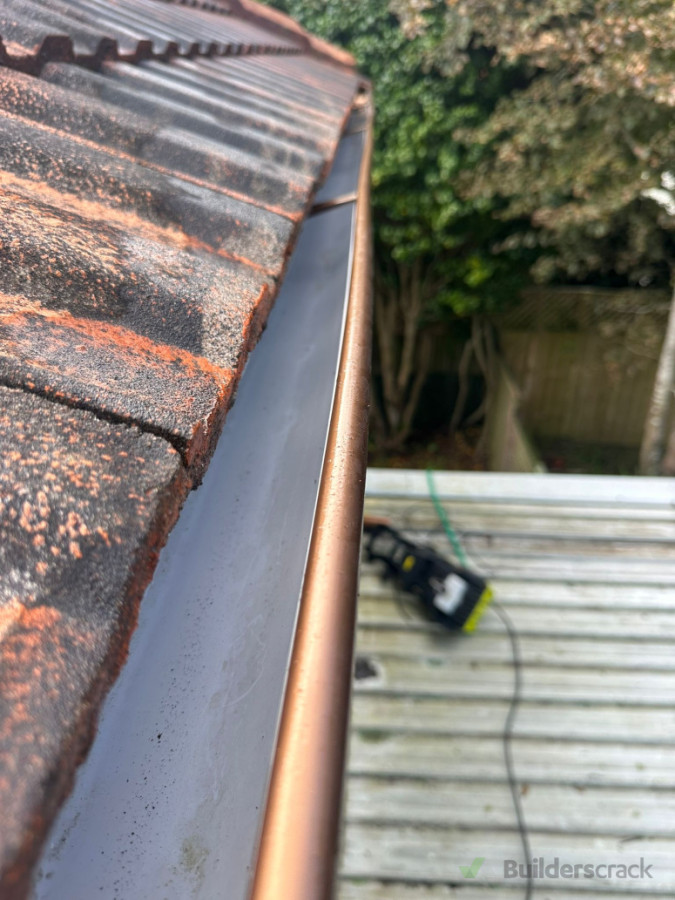 Gutter cleaning