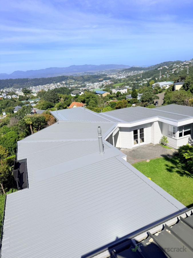 FULL ROOF  REPAIR AND PAINT