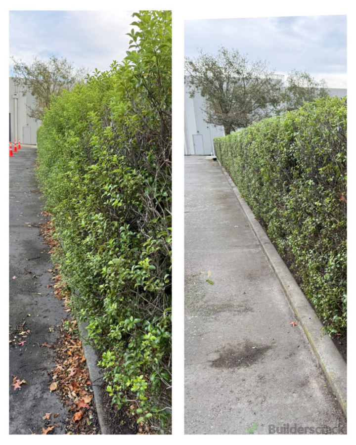 Hedge trimming