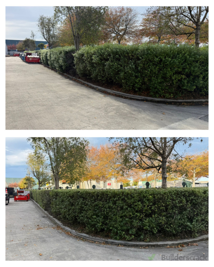 Hedge trimming