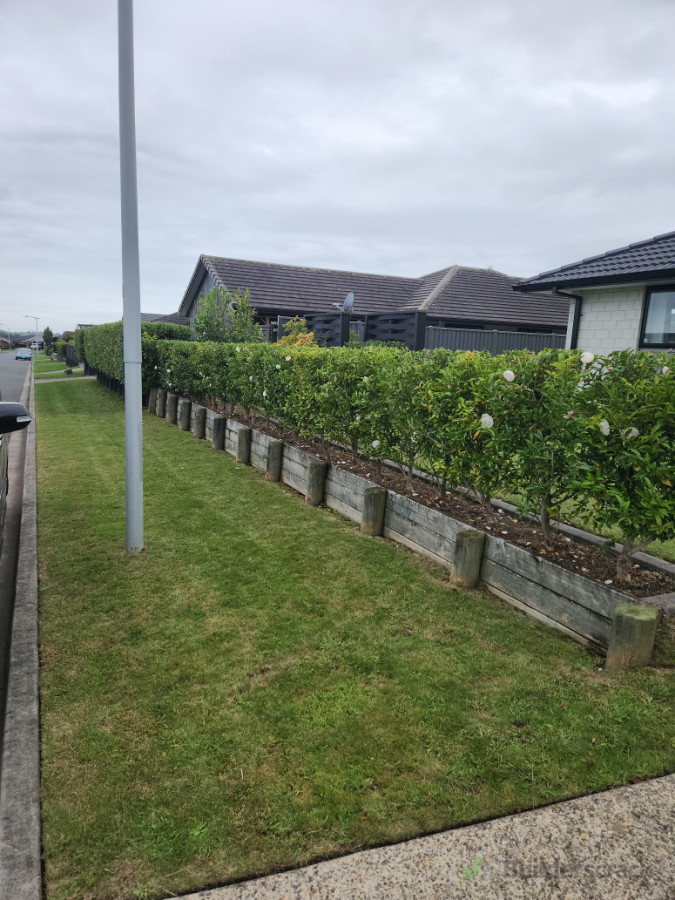 Lawn, hedge and weeds sorted.