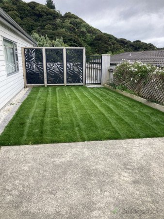 new lawn