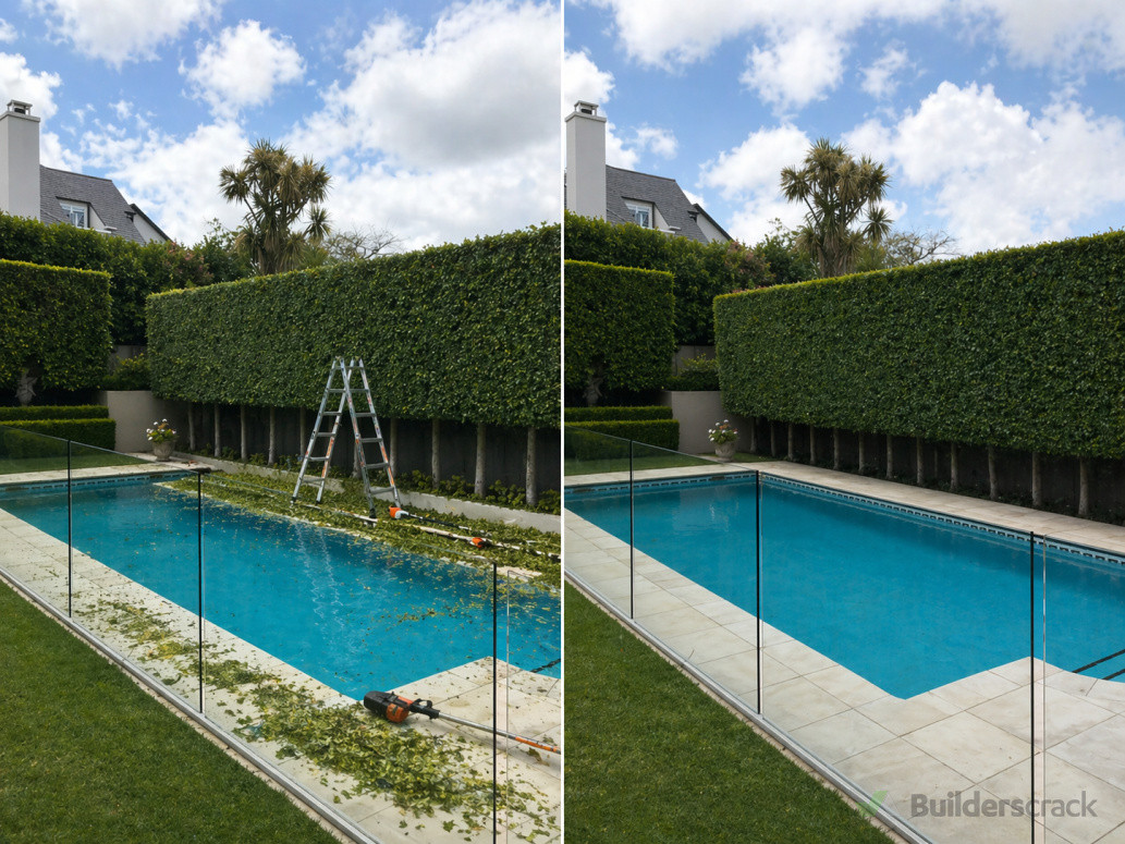 Hedge trimming & debris removal