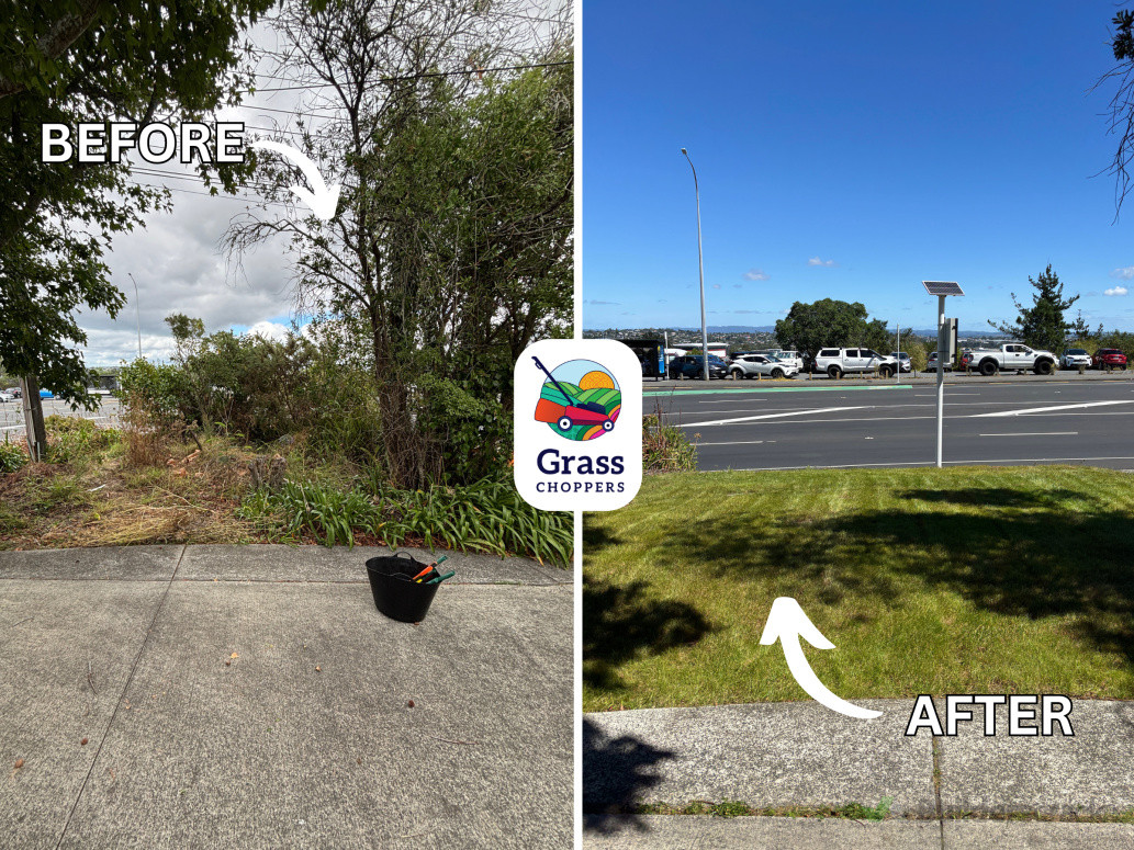 Garden Clean up and lawn installation in Murrays Bay, Auckland
