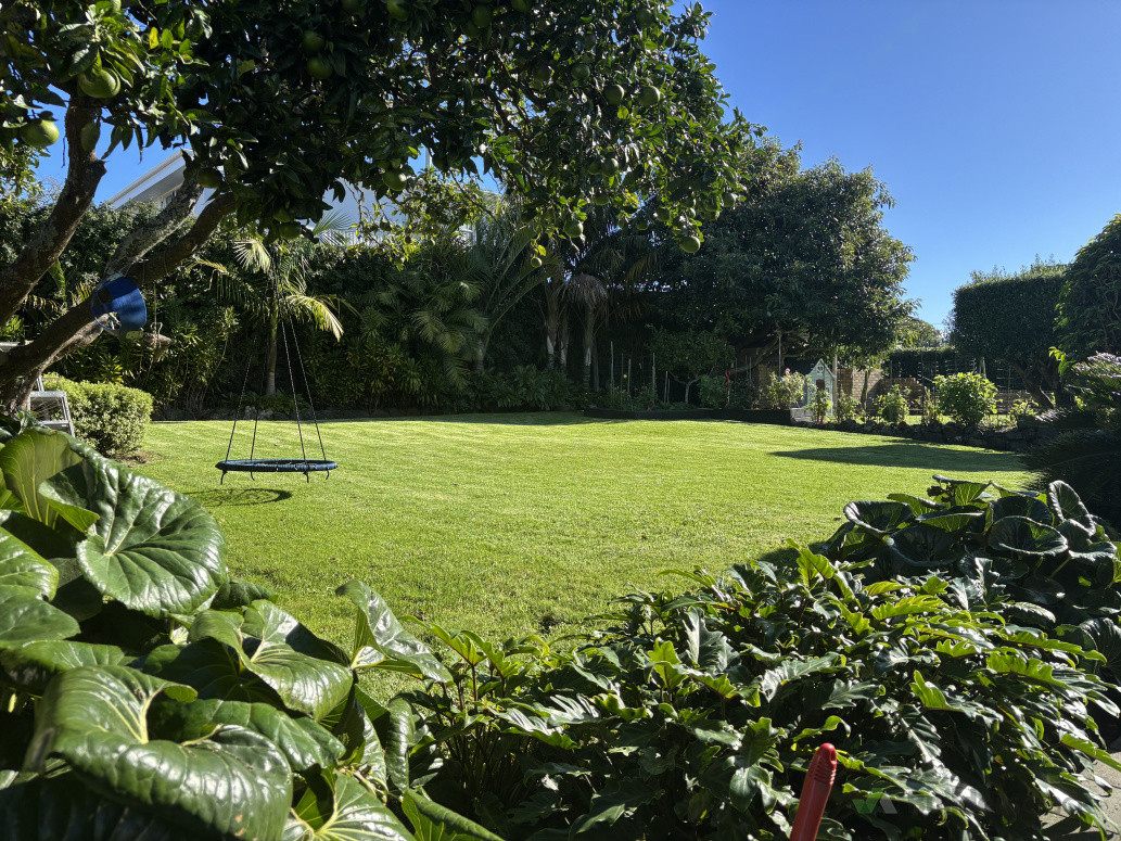 Garden and lawn maintenance in Mount Albert, Auckland
