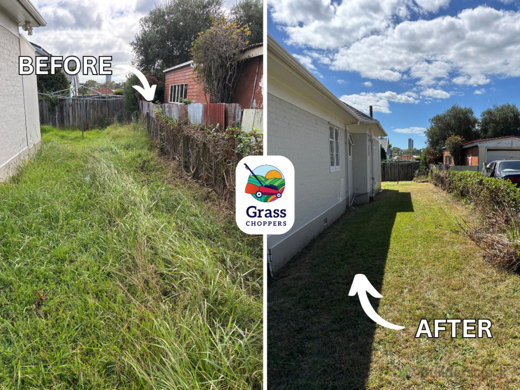 Before and after lawn mowing Grey Lynn, Auckland