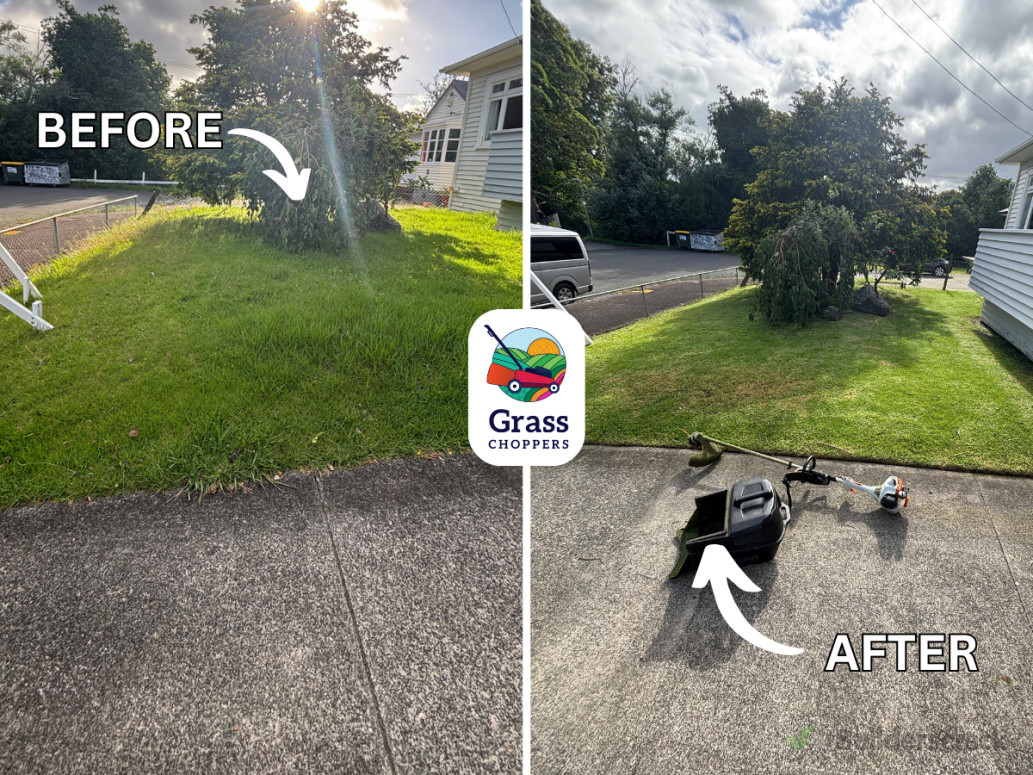 Regular lawn mowing Pt Chev, Auckland