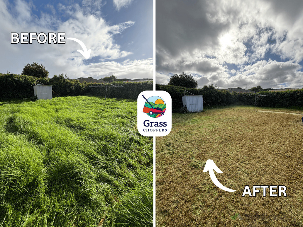 Before and after lawn mowing Sandringham, Auckland