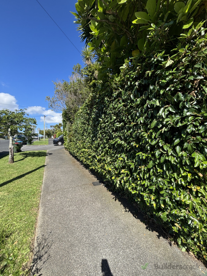 Lawn mowing and hedge trimming Pt Chev, Auckland