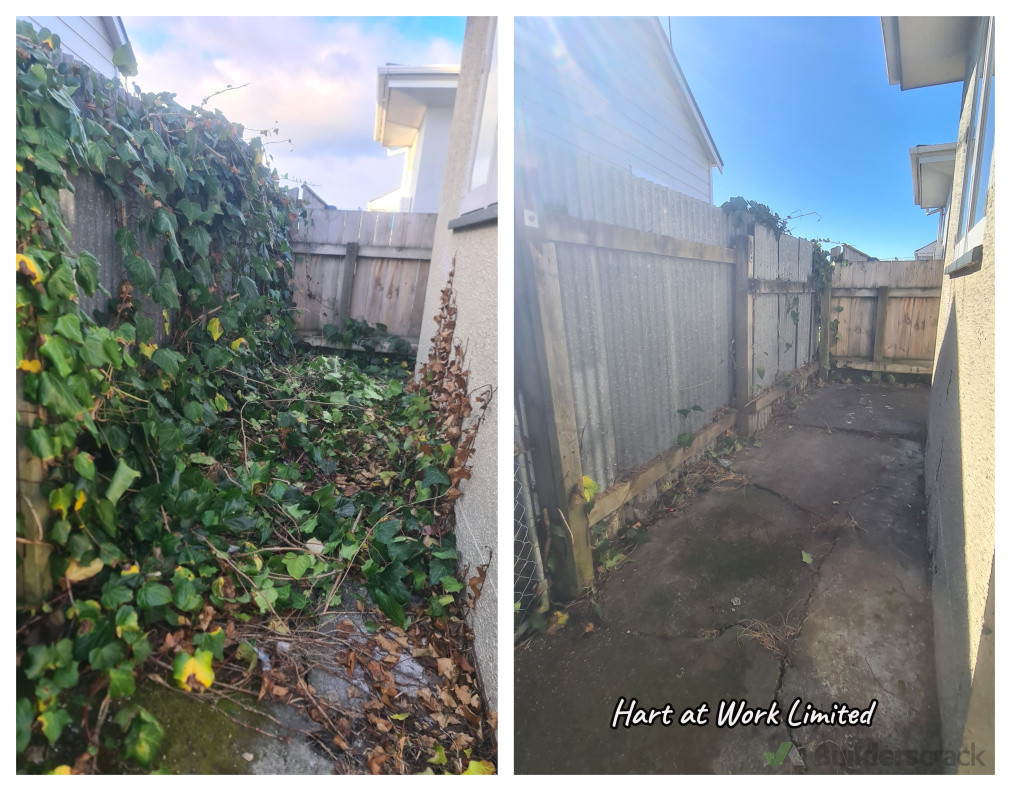 Just a little vine