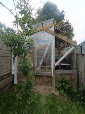 Greenhouse had to be built around the existing fruit trees