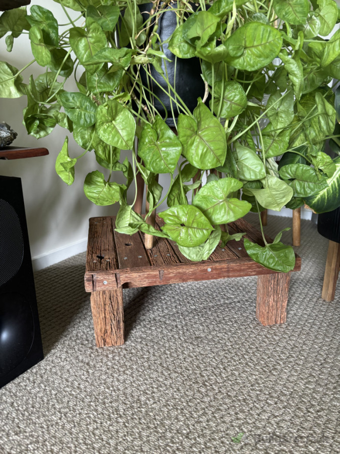 Reclaimed timber plant stand