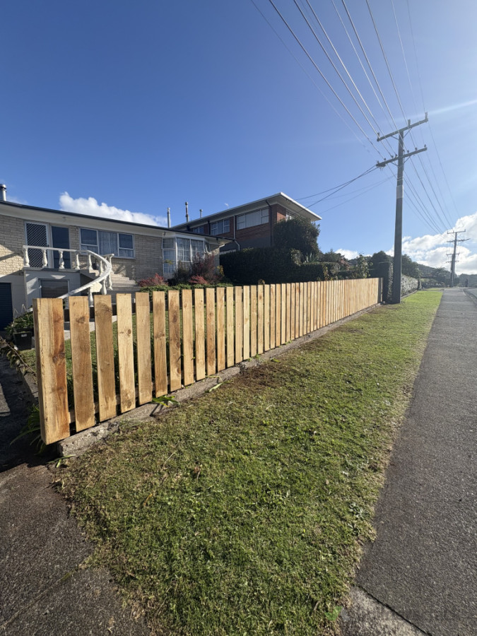 Paling fence