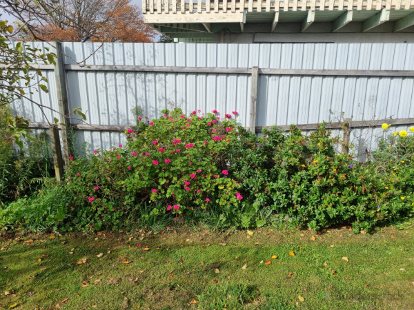 Before