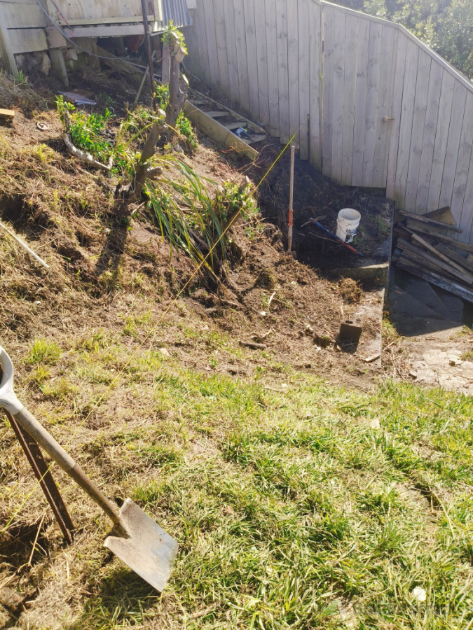 The site at the beginning, starting with the string line