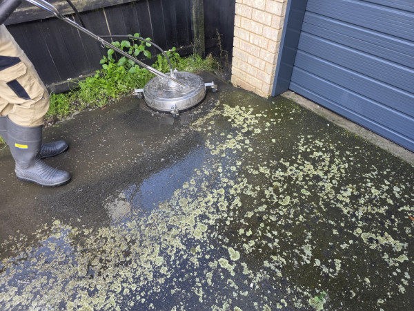 Rotary machine used to dislodge lichen