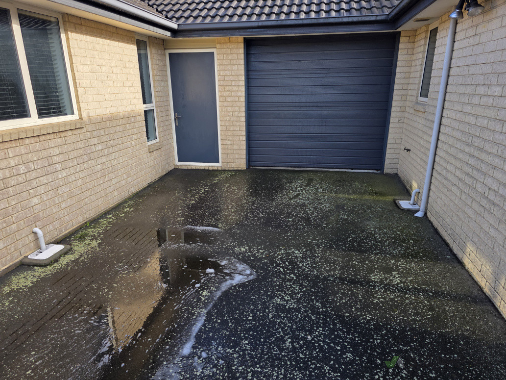 Lichen buildup at front door area
