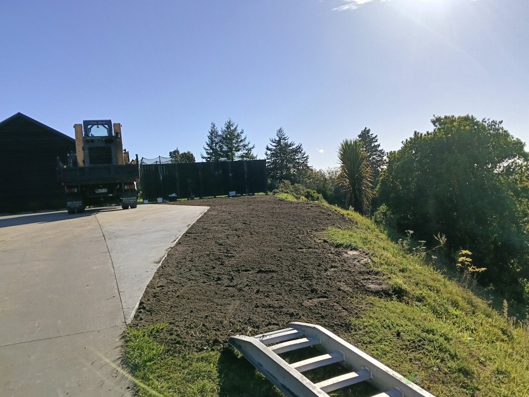 Lawns after