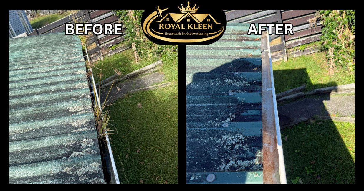 Gutter Cleaning