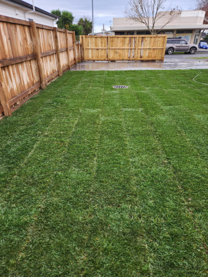 Ready lawn prep and install