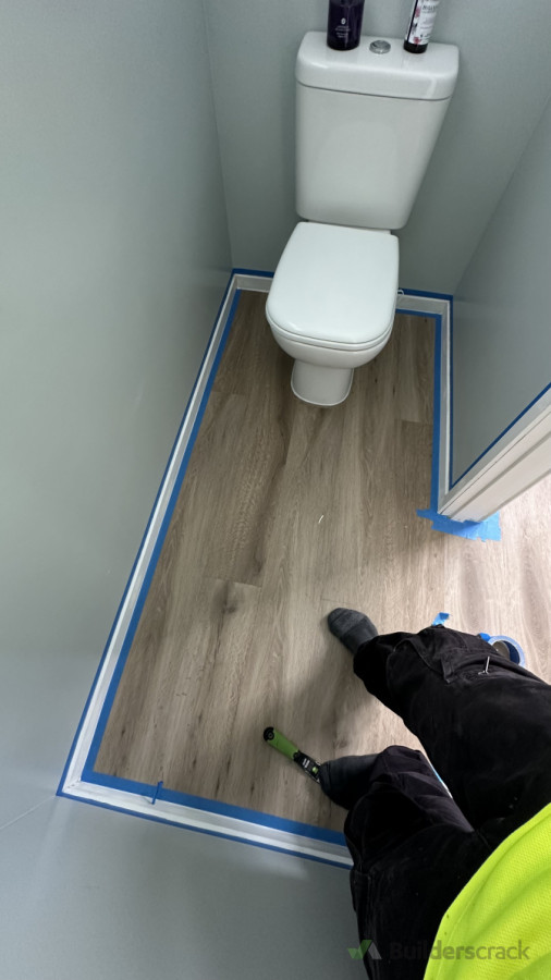 Toilet painting