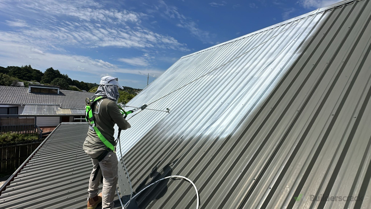 Roof painting