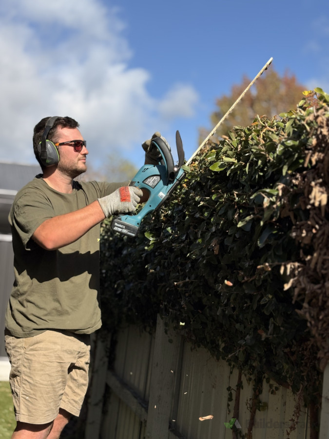 Hedge trimming
