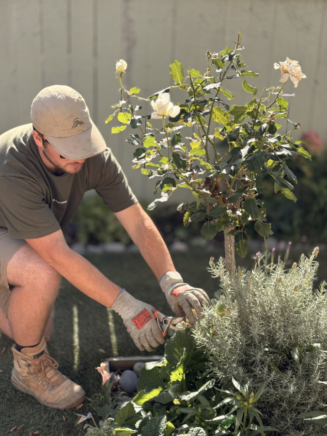 Garden maintenance