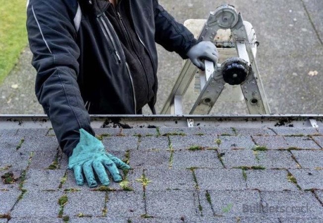 Lichen and Moss removal