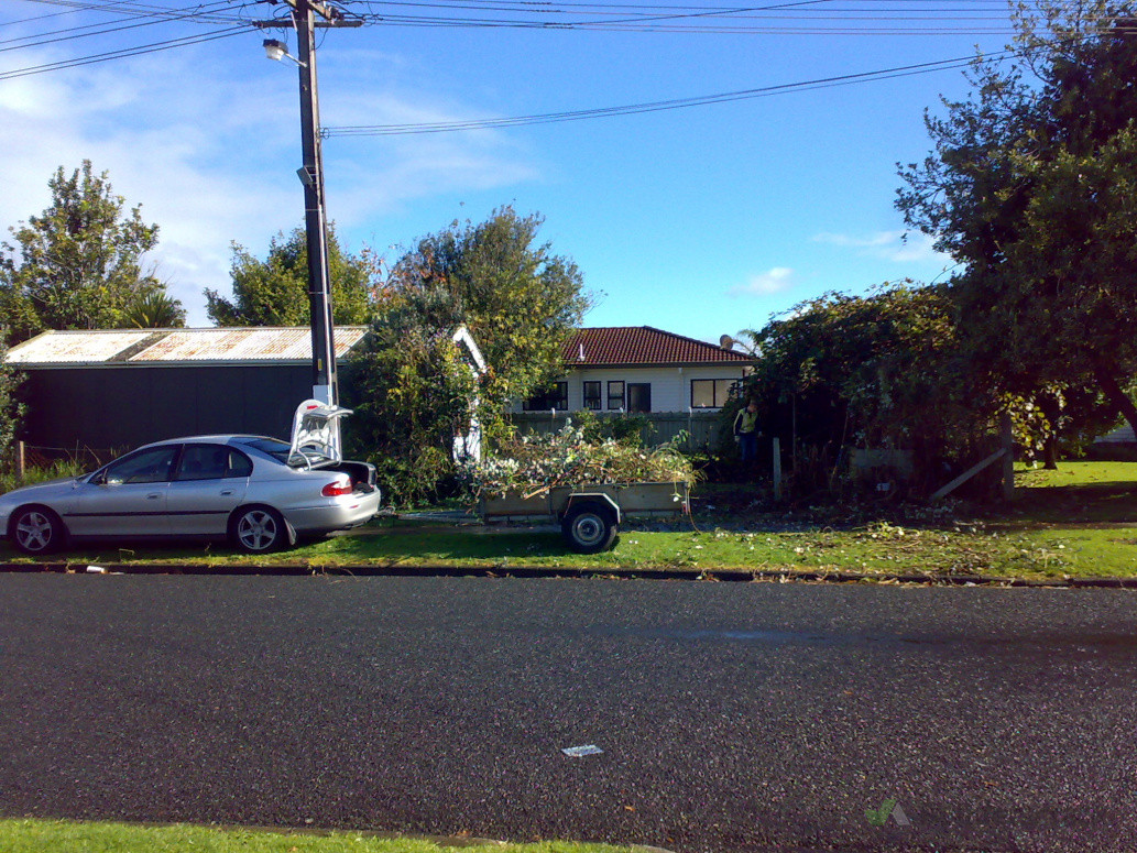 Start of Site clearing