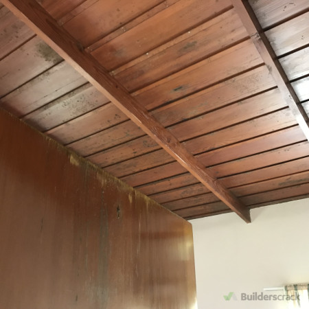 Original Lounge Ceiling