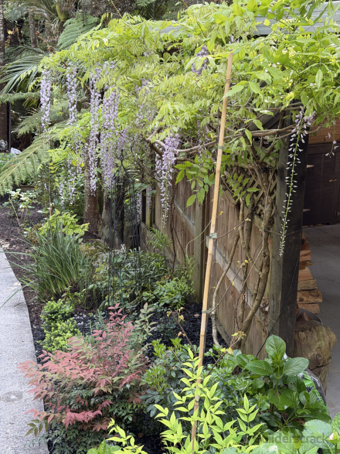 a simple driveway garden