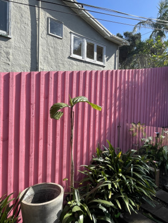 Fence + Battens
