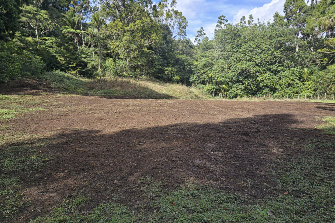 Skid steer Landscaping