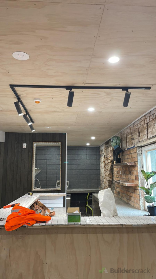 Down lights and Lighting fixture