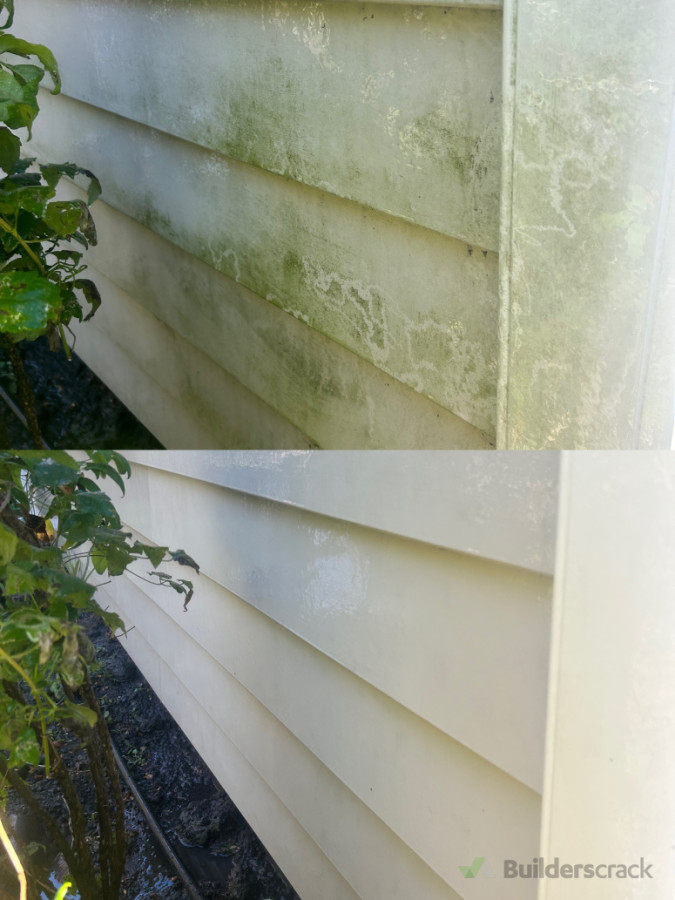 Moss treatment - house washing before and after