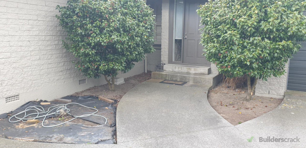 Weeds & Co Removed