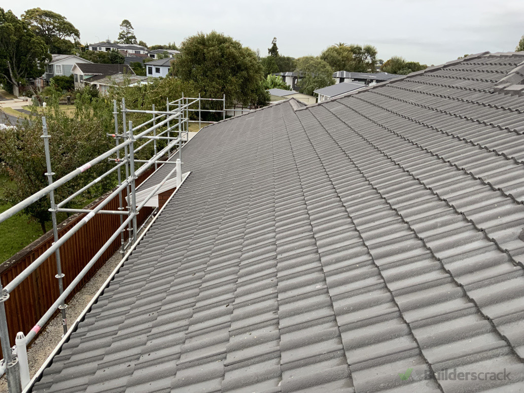 Roof Painting/Coating.