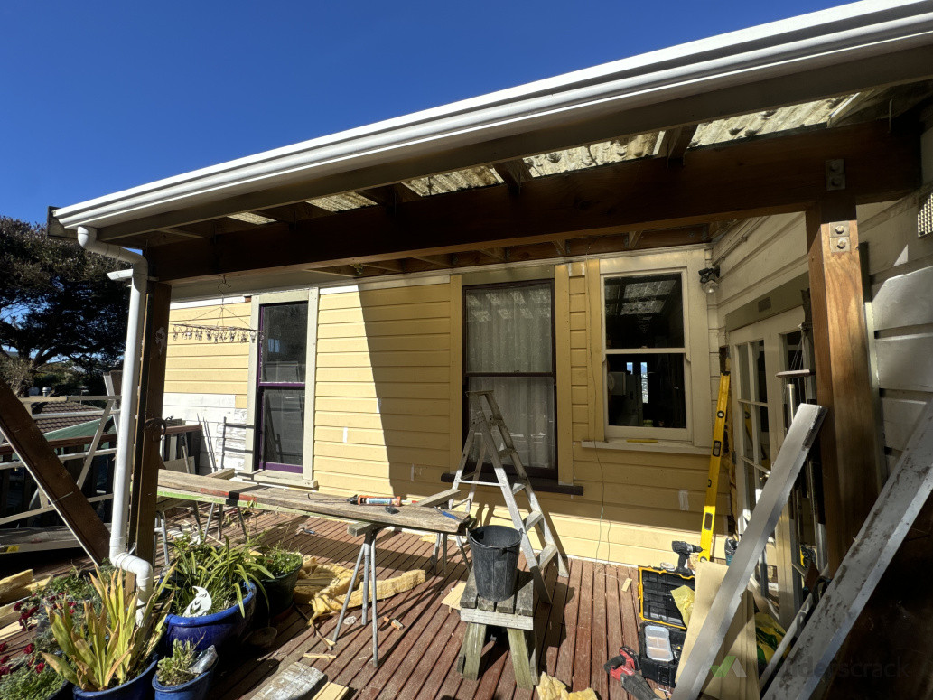 Weather board replacement (borer )