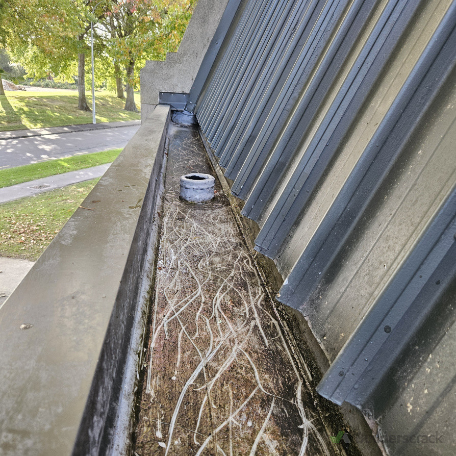 University of Canterbury - Gutter Cleaning