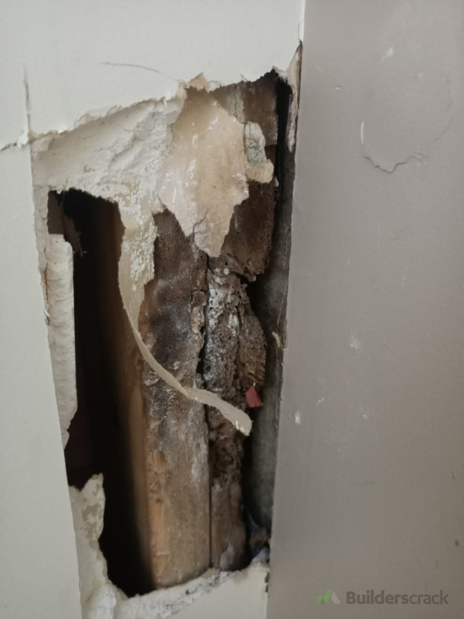 Exterior building inspection — water leakage and mould remediation completed