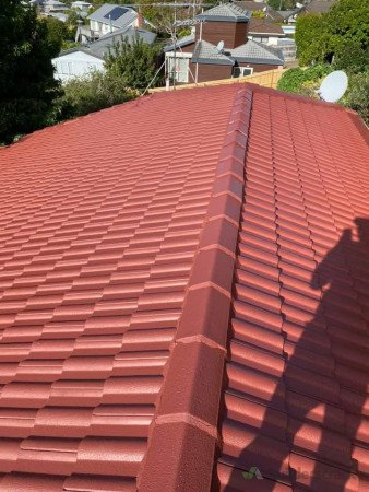 Roof on going buckland