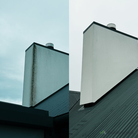 House/ roof moss treatment transformation
