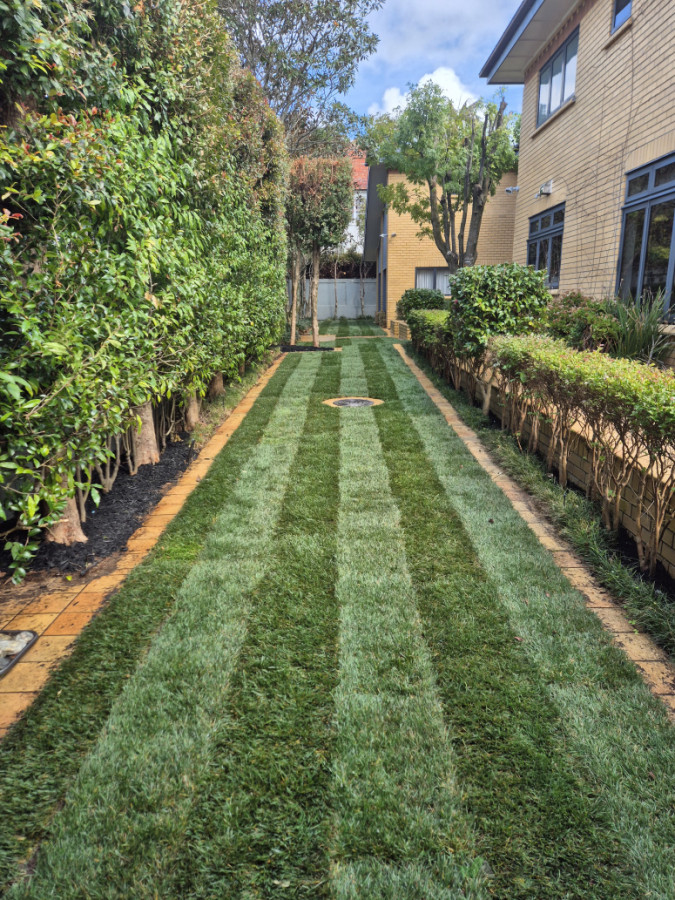 ready lawn