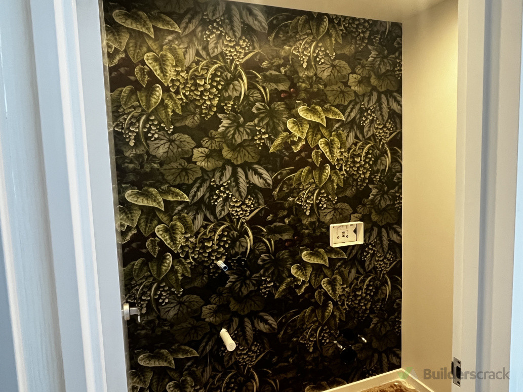 Luxurious feel with silk wallpaper in powder room!