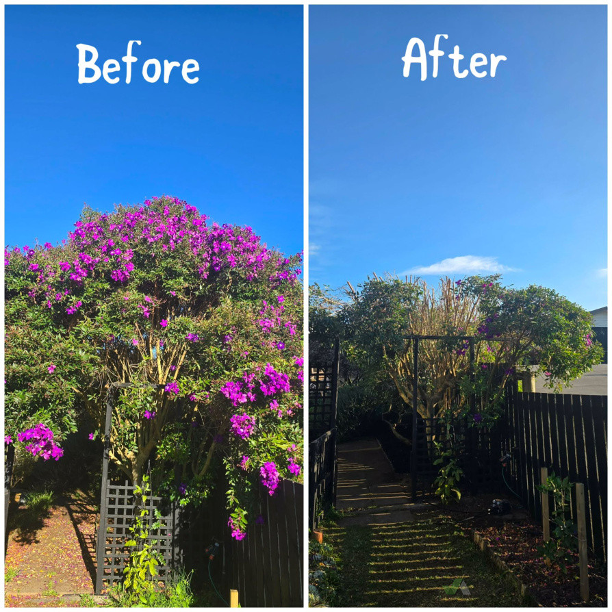 Trimming, pruning, cleaning - we do it all.